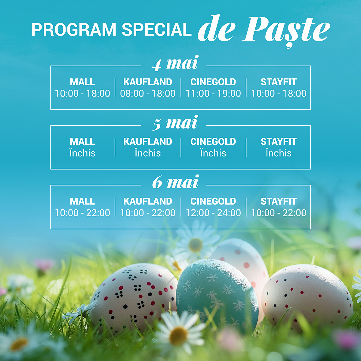 Program_FB-Insta post_1200x1200px.jpg